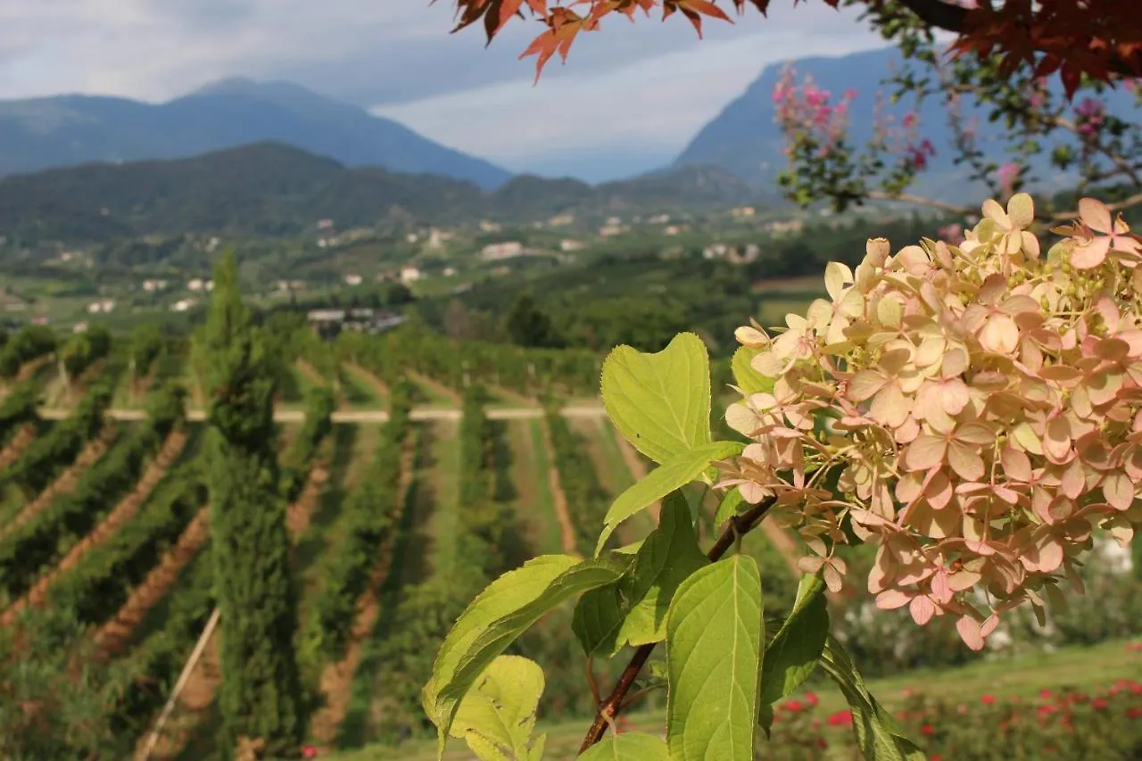 Lodge Country House Steffany Βίλα San Pietro Di Feletto Ιταλία