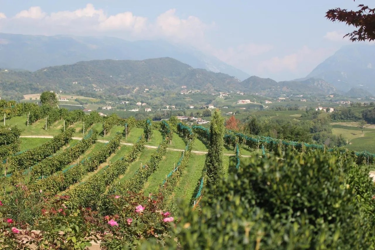 Country House Steffany Βίλα San Pietro Di Feletto