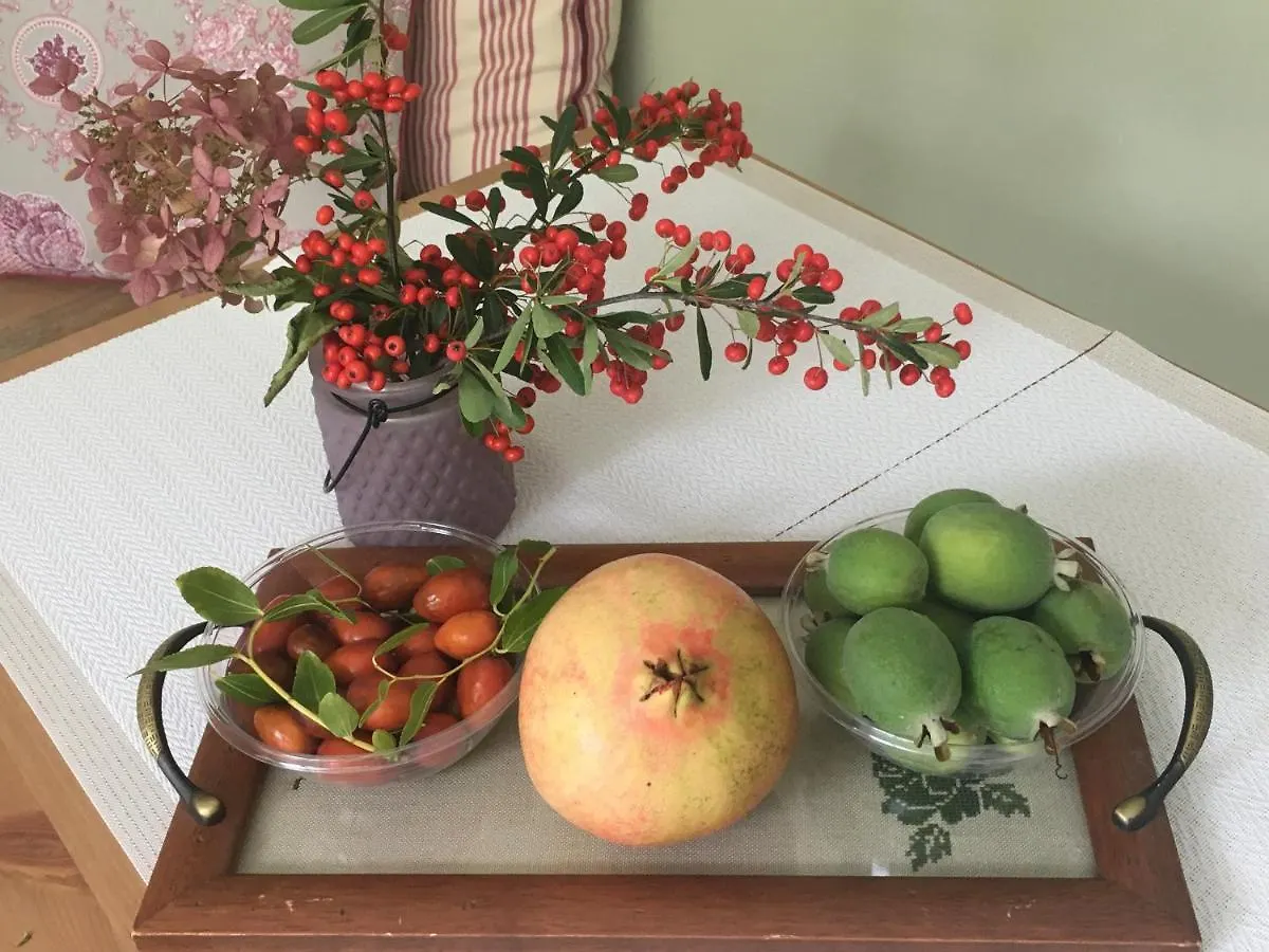 Country House Steffany Βίλα San Pietro Di Feletto